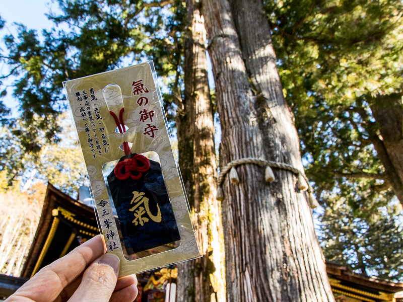 ご神木が内符として納められている「氣の御守」1000円
