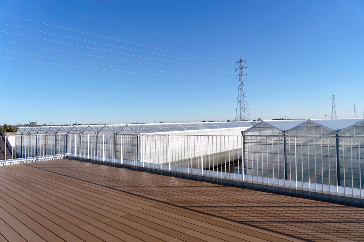 併設するカフェの2階にあるウッドデッキからの眺め