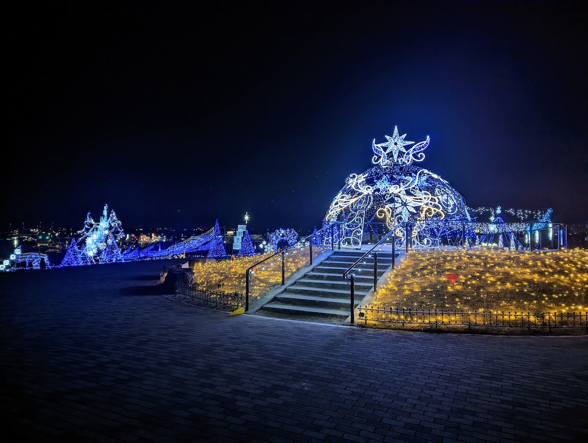 （写真提供：マリーゴールドの丘公園）