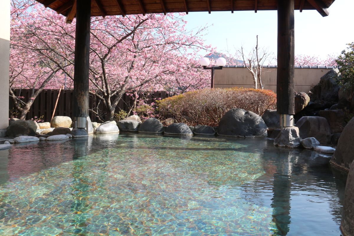 画像提供：河津町観光協会