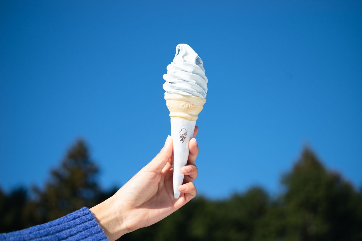 「そらソフト」500円