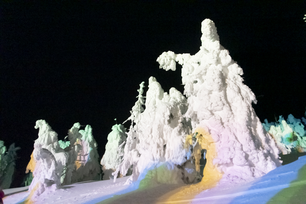 蔵王連峰の特殊な気象条件と植生のたまもの。氷と雪の芸術品