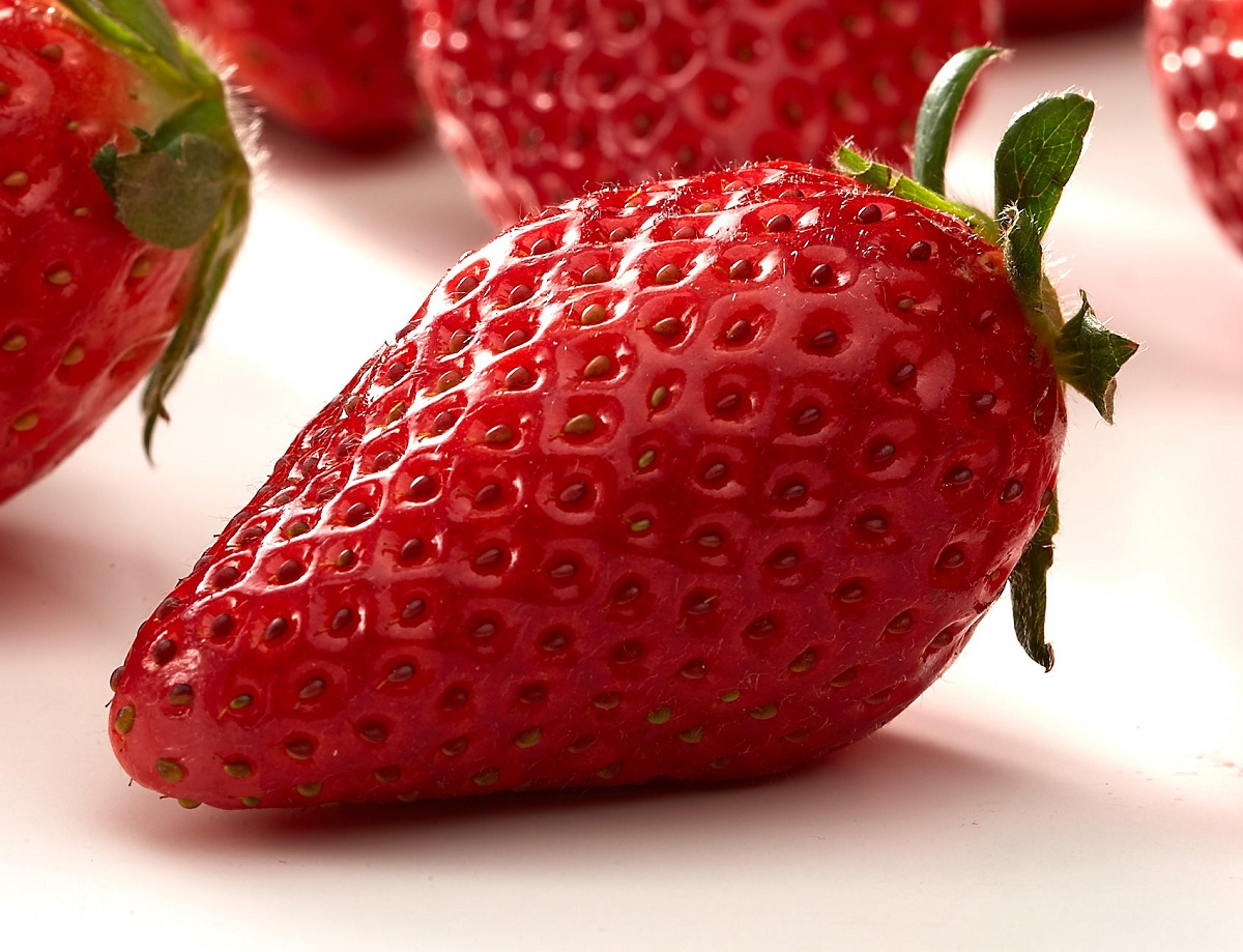 栃木県 茨城県 群馬県】個性キラキラ☆ おいしいかわいい北関東