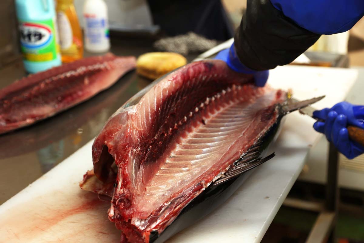 朝早くにはマグロを解体している姿も見られるかも！