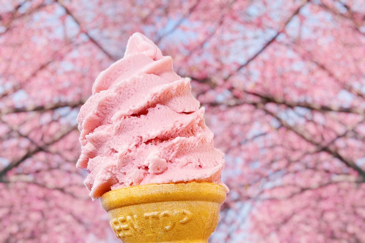 画像提供：河津町観光協会