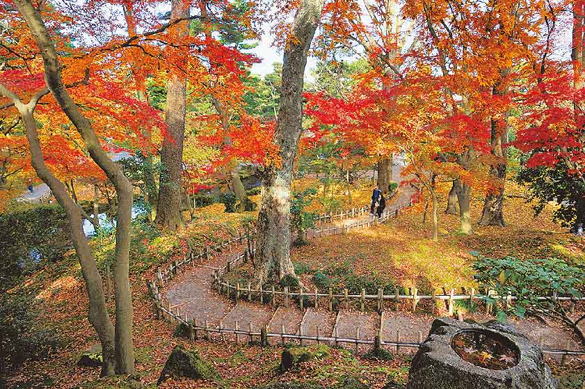 秋の兼六園