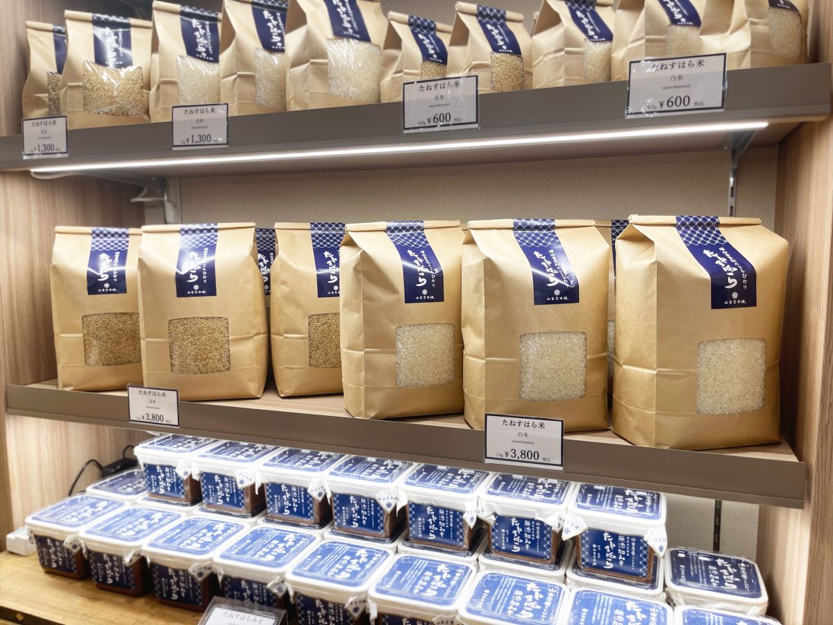 「たねすはら米」各種600円〜