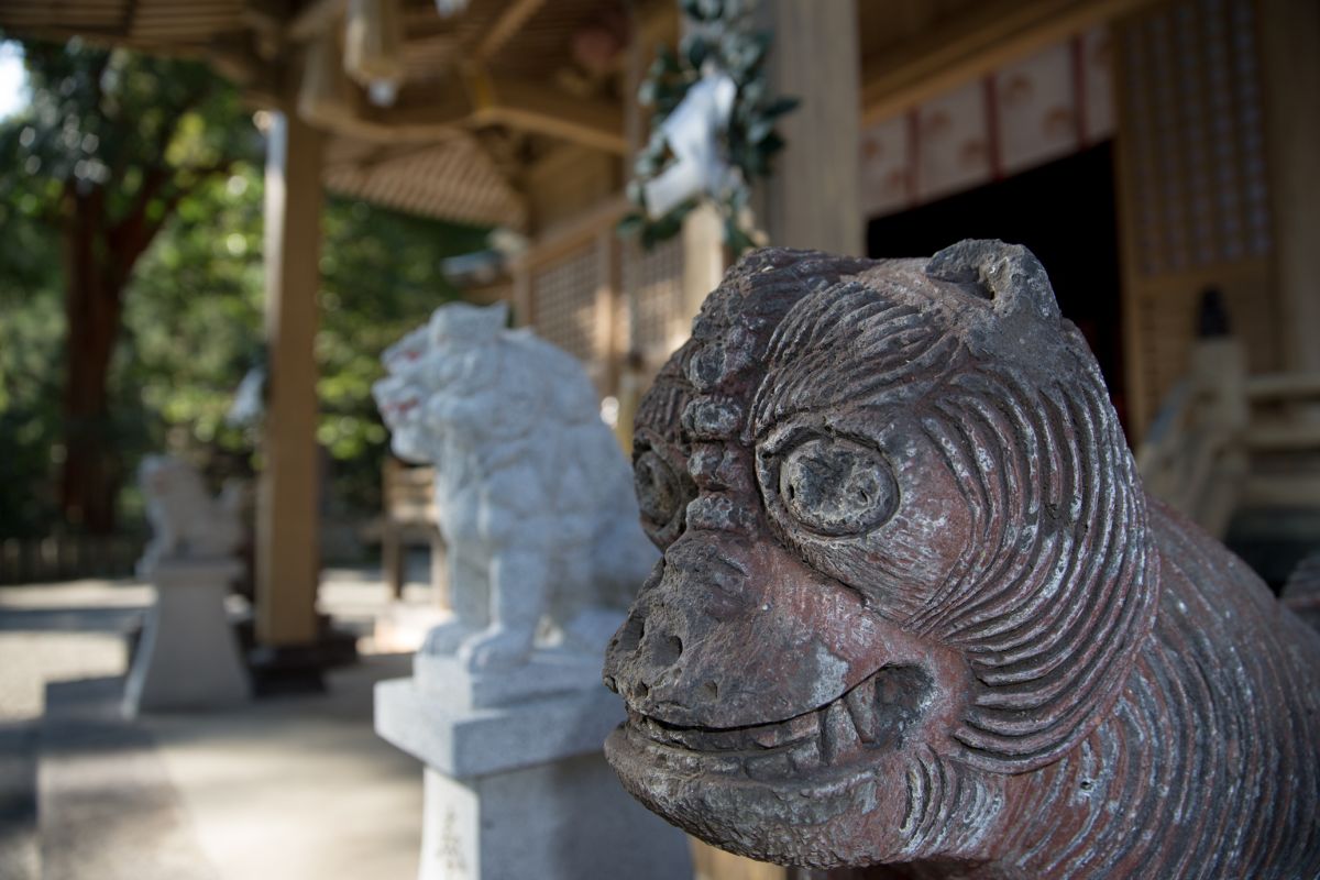 行縢神社狛犬