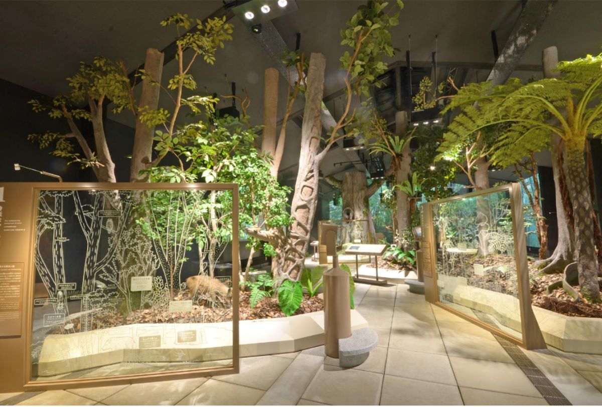 奄美の森が再現されたジオラマ