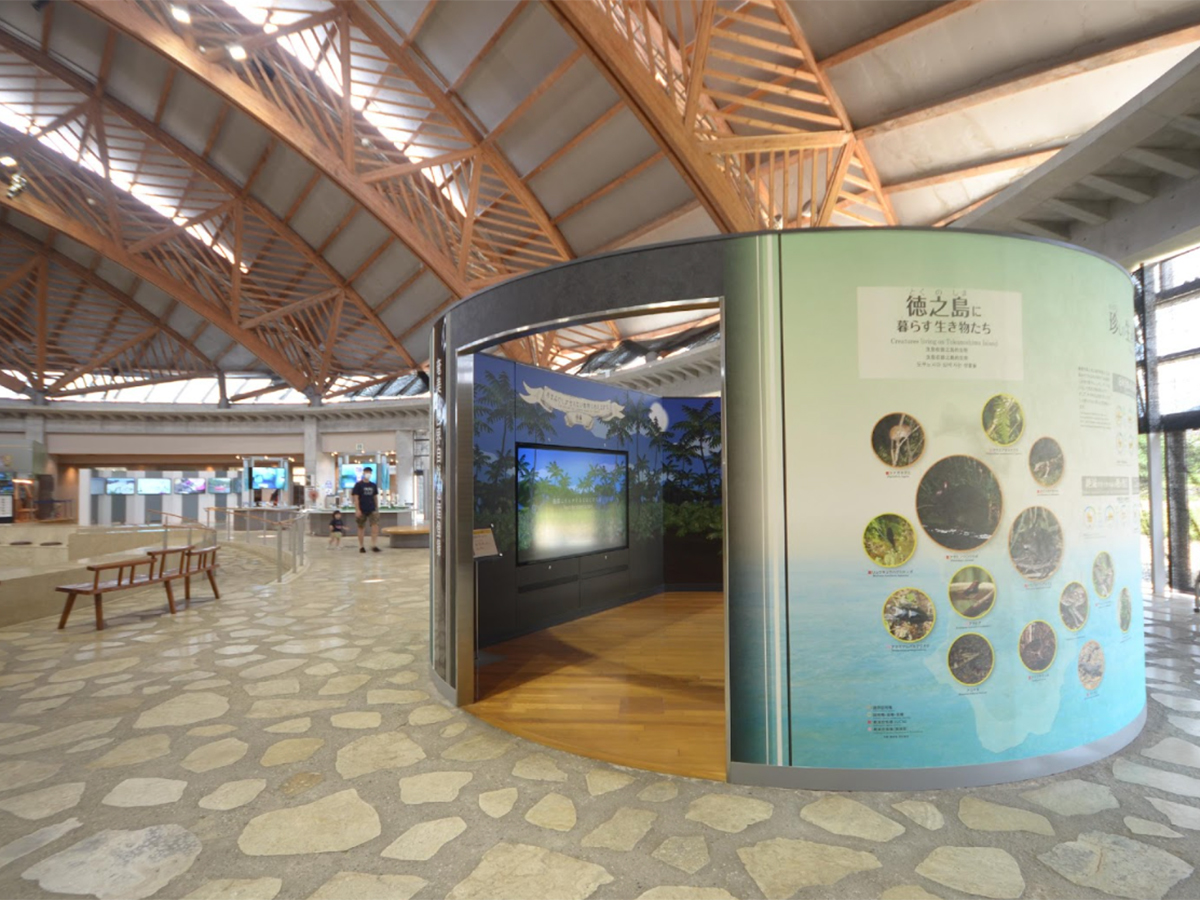 無料ゾーンにも楽しいアトラクションがいっぱい