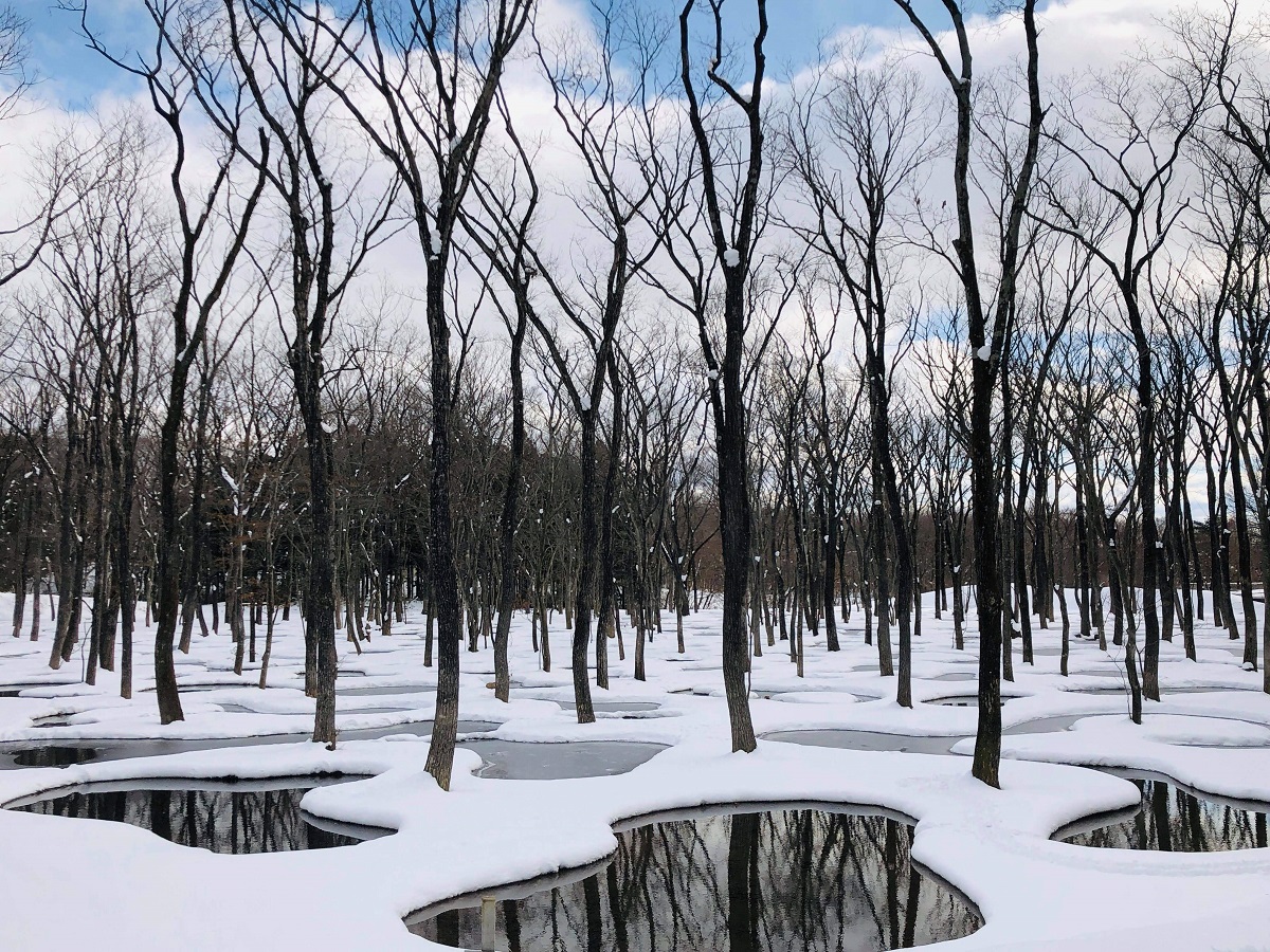 静けさに包まれた冬の水庭。見学は事前予約制です