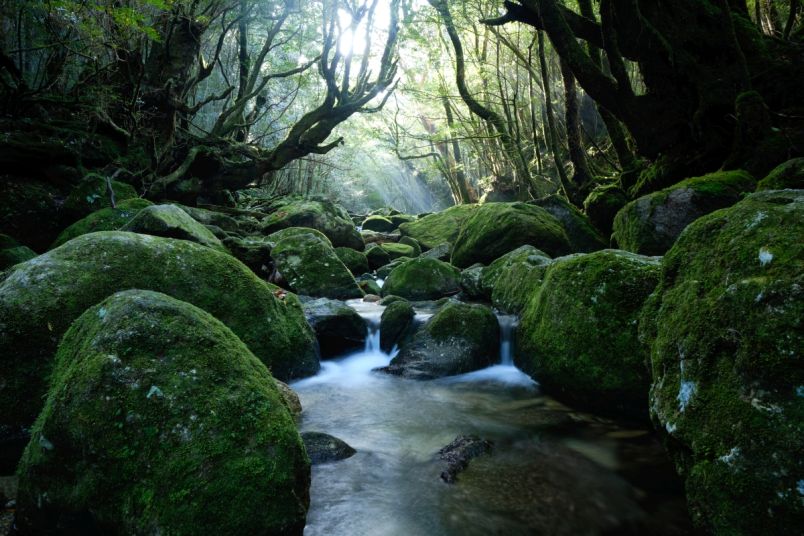 屋久島・口永良部島