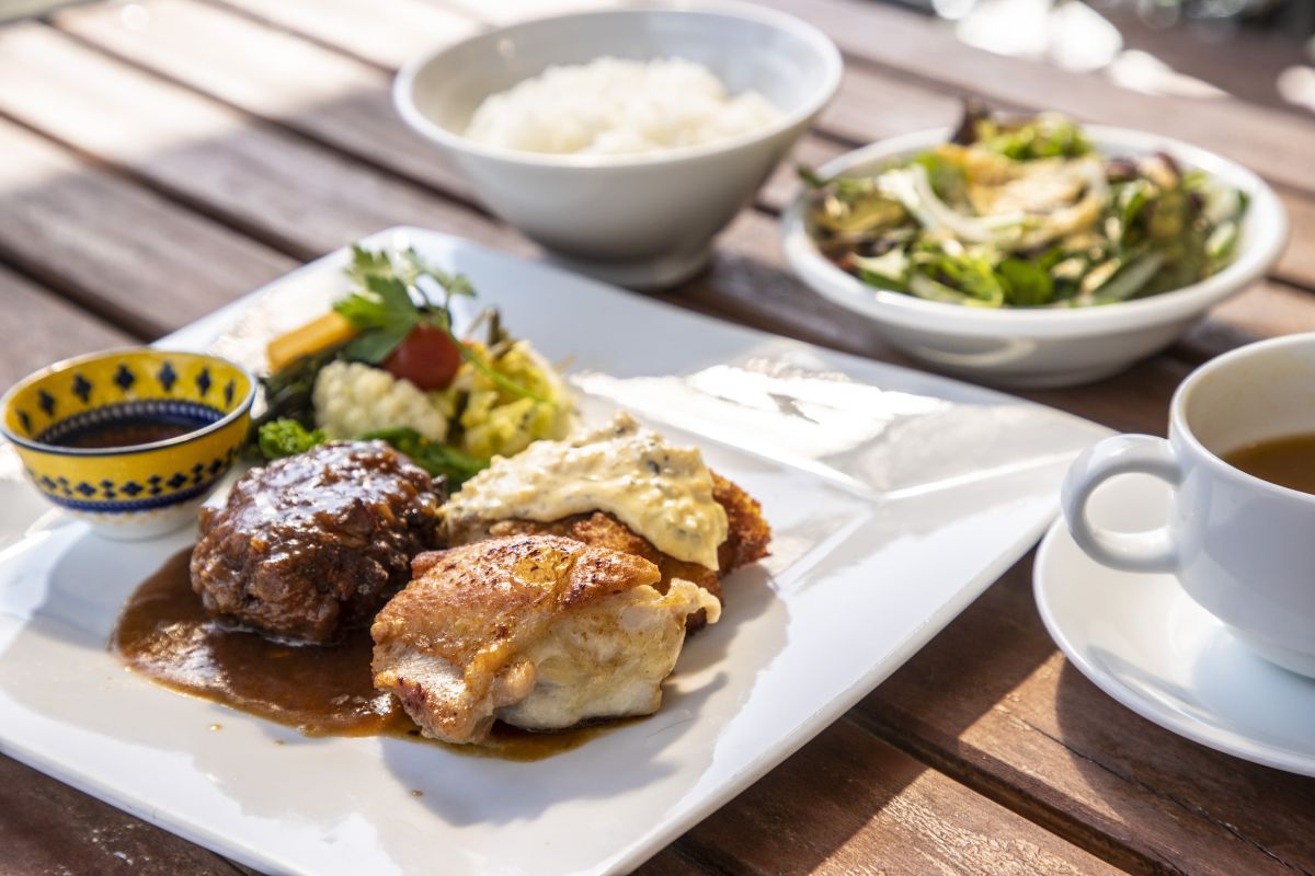 「阿波尾鶏ざんまいセット」2100円