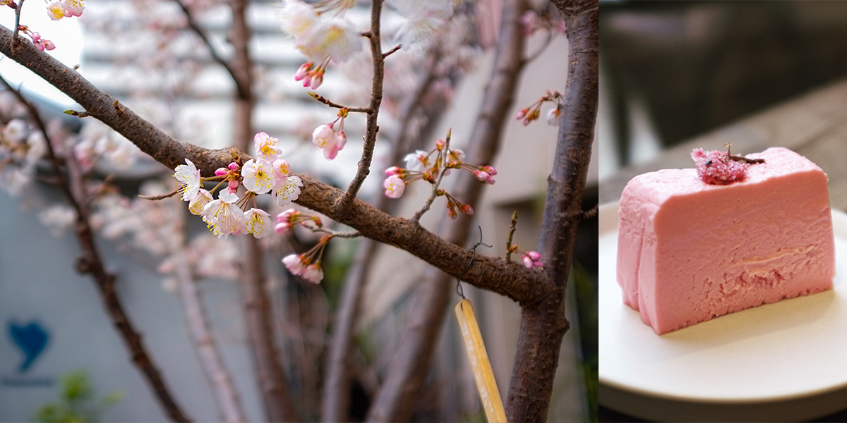 【東京都内】桜が見えるテラス付きの和カフェ3選｜和の雰囲気がたまらない！