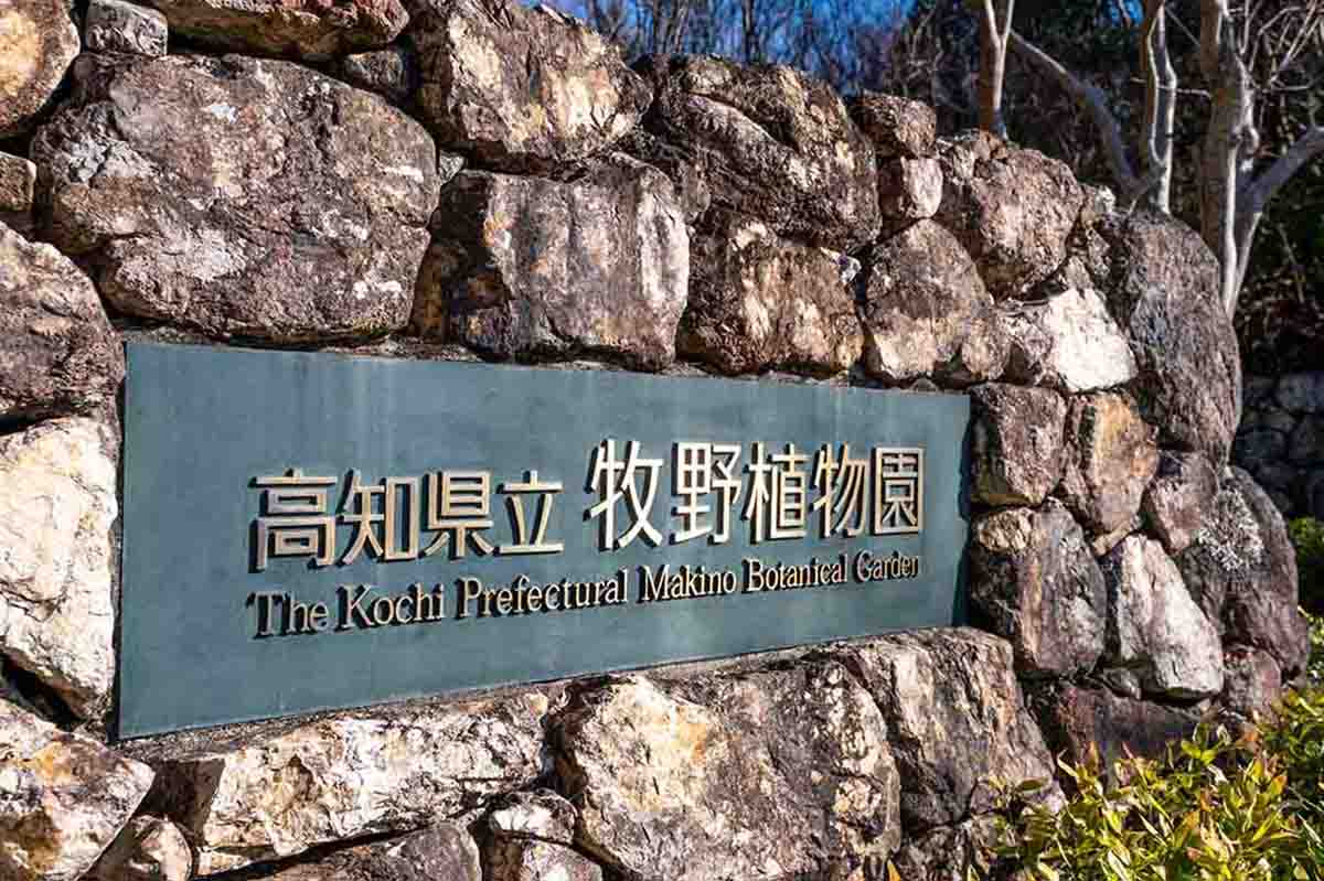 牧野植物園正門