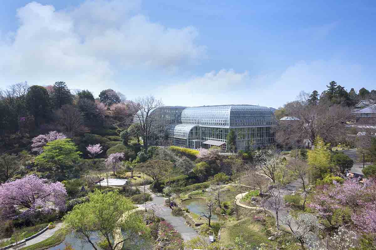 牧野植物園