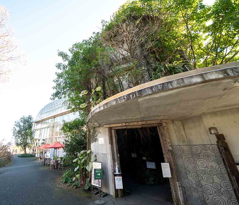 植物に覆われた温室の入り口