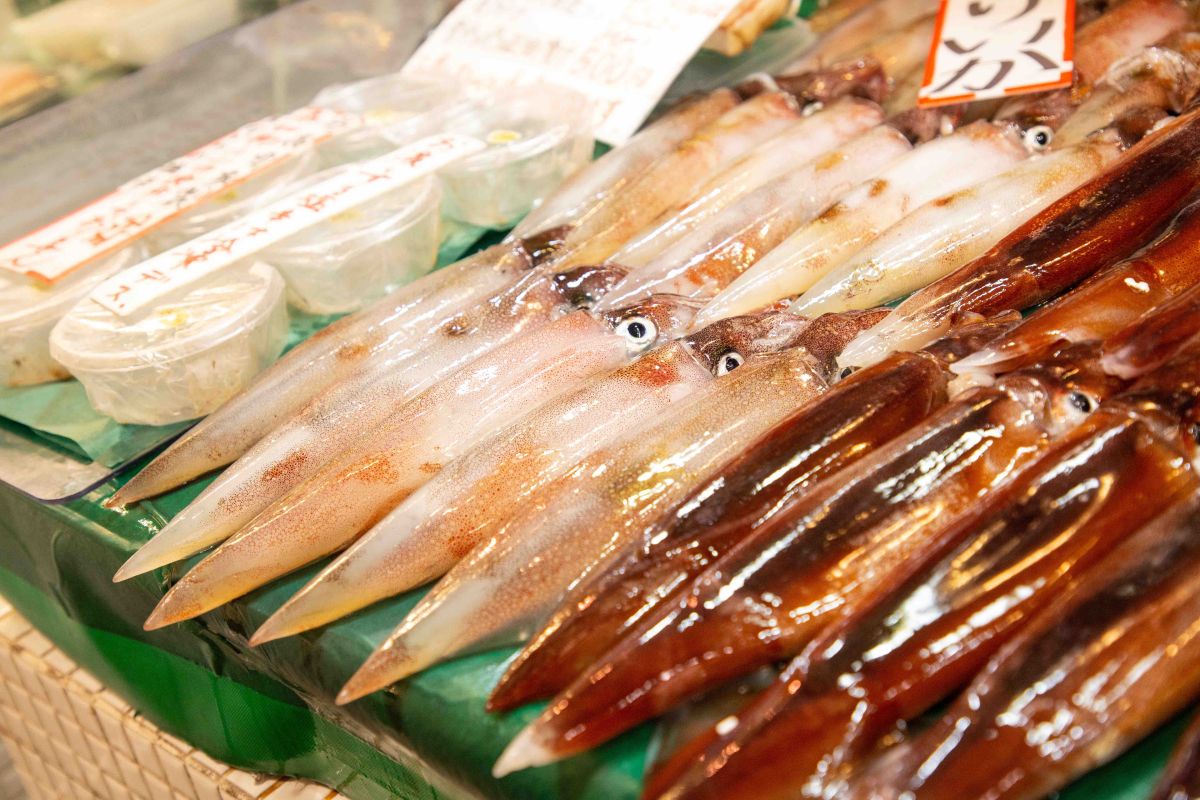 富田鮮魚店のイカ
