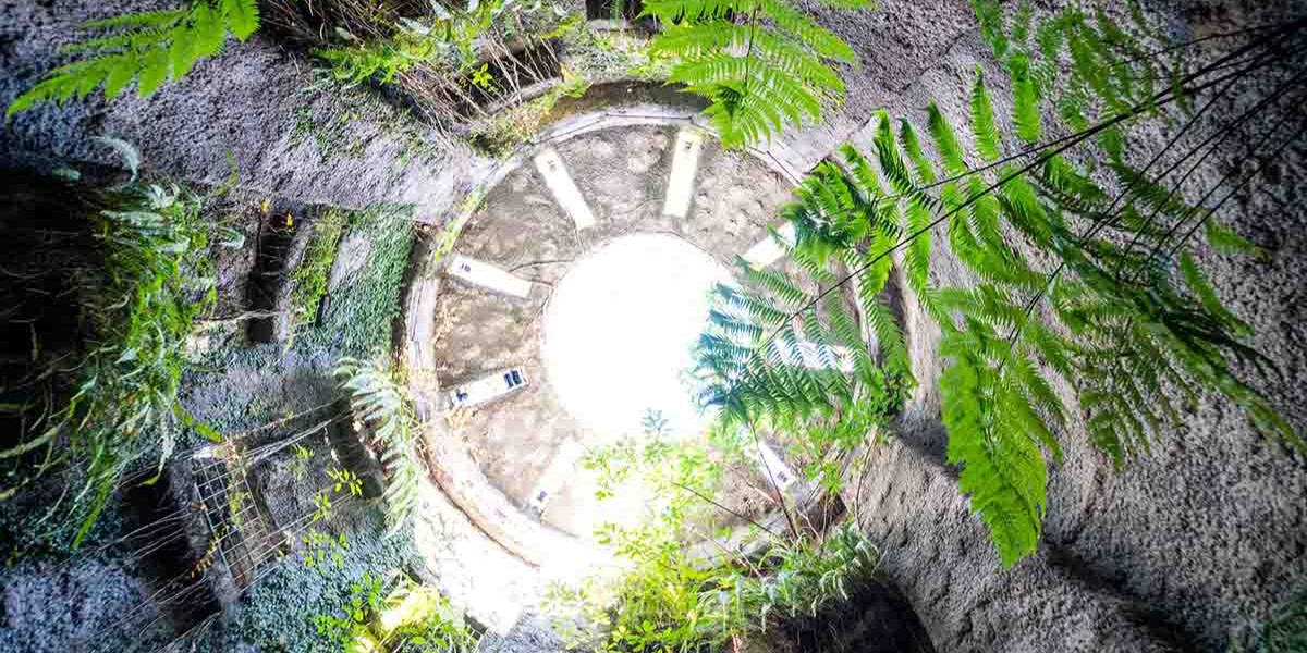 高知県立牧野植物園
