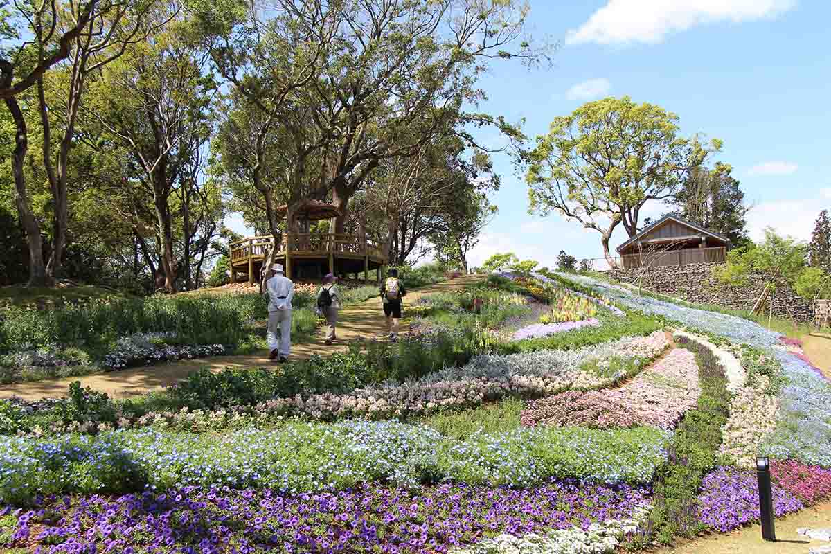 牧野植物園　こんこん山