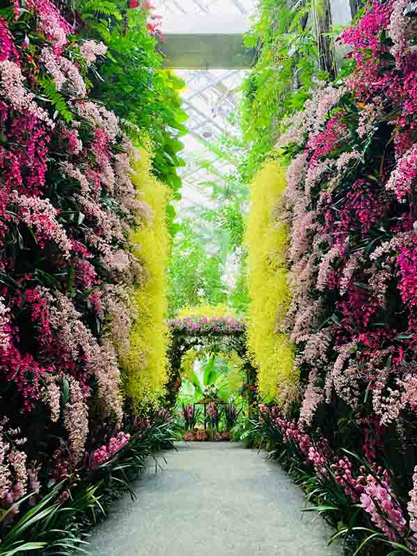 牧野植物園　ラン展