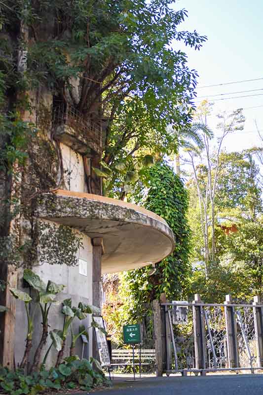 牧野植物園　温室