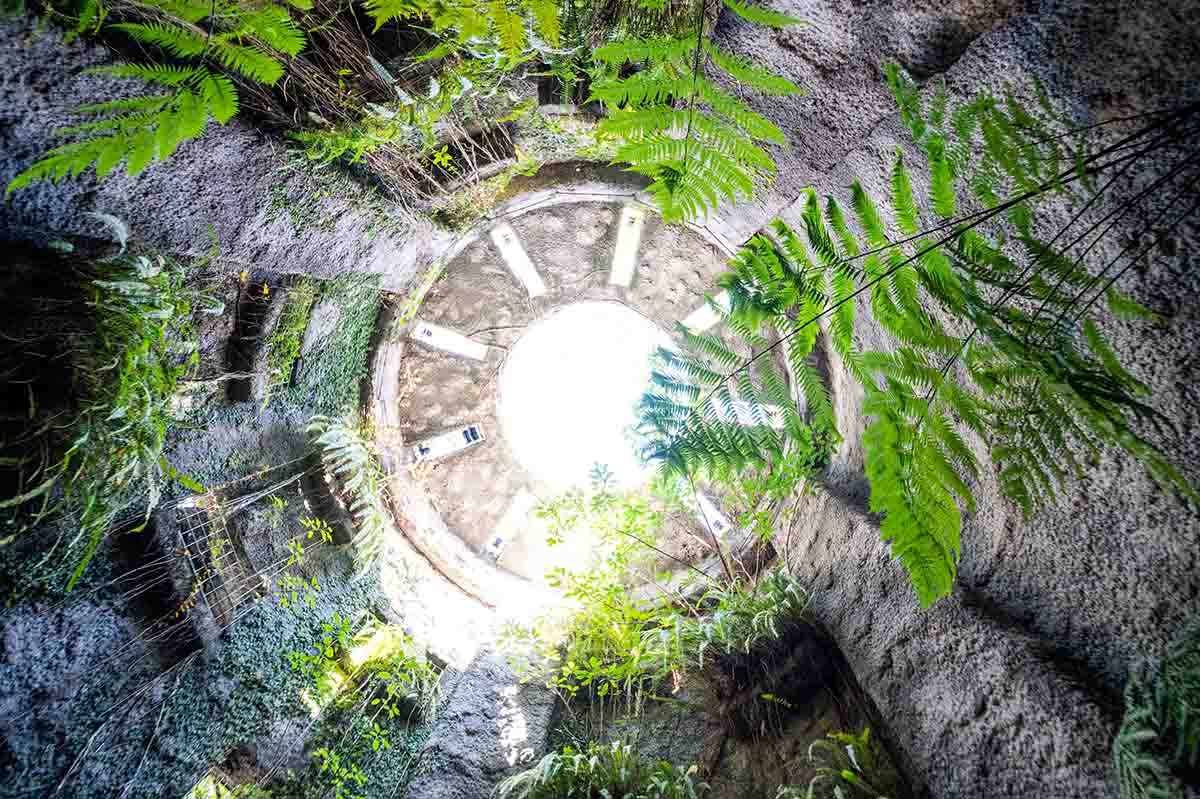 牧野植物園　みどりの塔