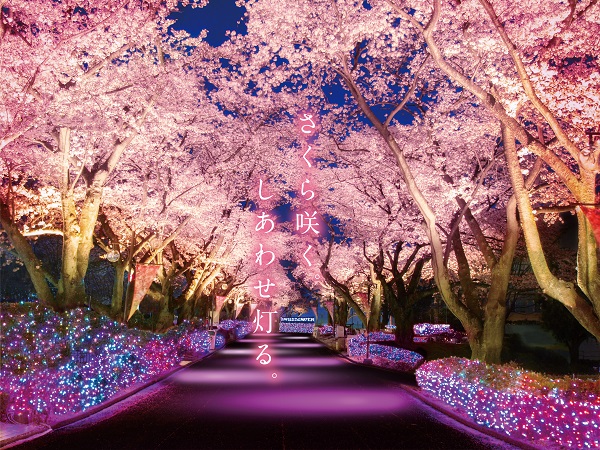 夜桜見 お花見も夜桜も「よみうりランド」で！「夜桜ジュエルミ
