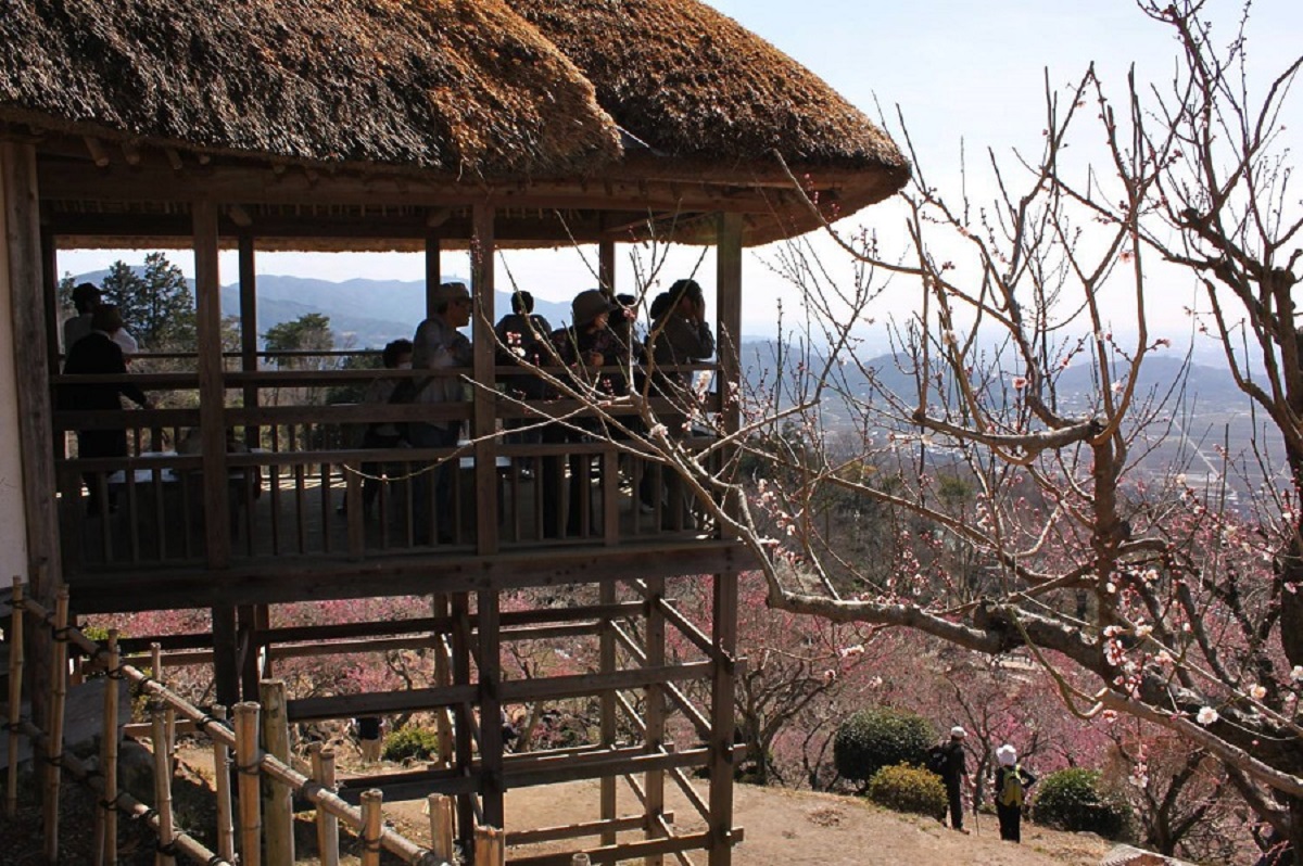 展望あずまやからは大パノラマが望めます