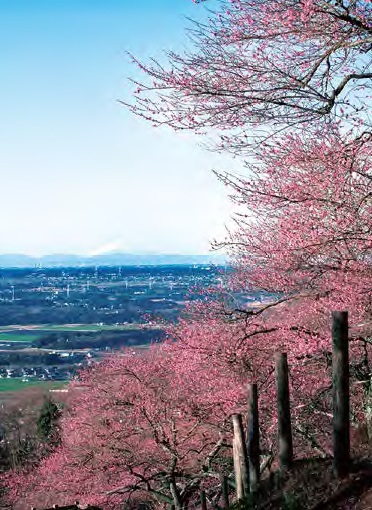 関東の冨士見百景にも選ばれています