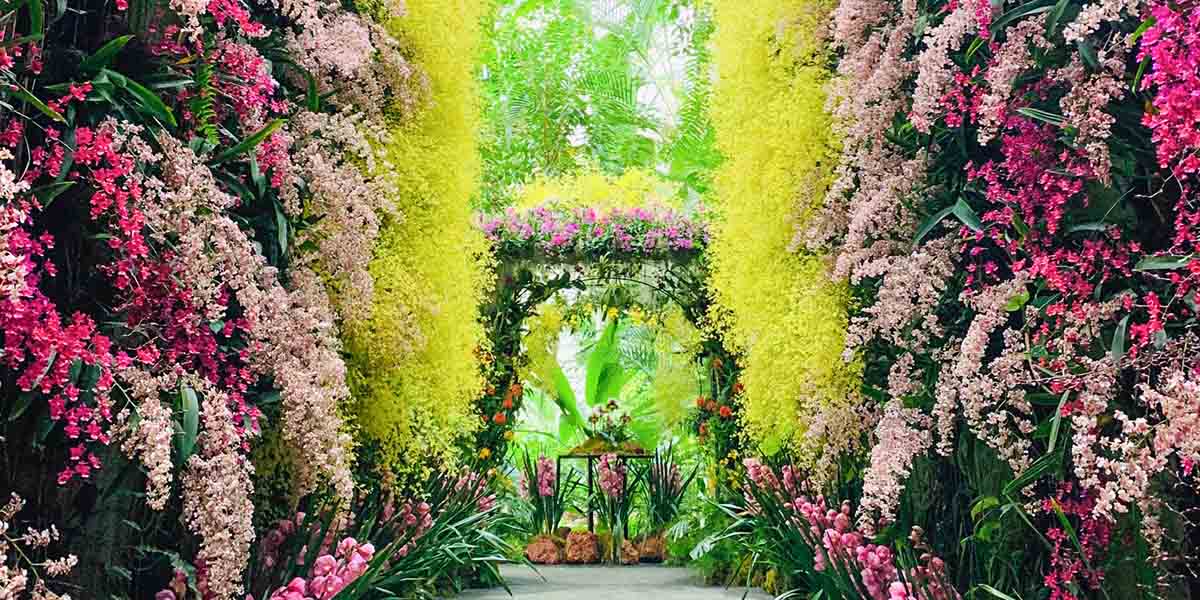 牧野植物園　温室