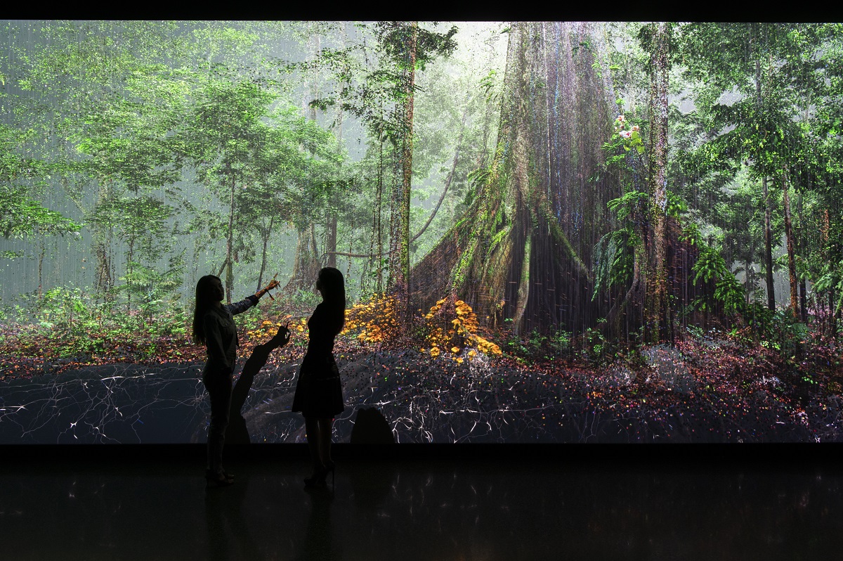 アマゾンの熱帯雨林と生きものたちによる循環機能を可視化した「フォレスト」