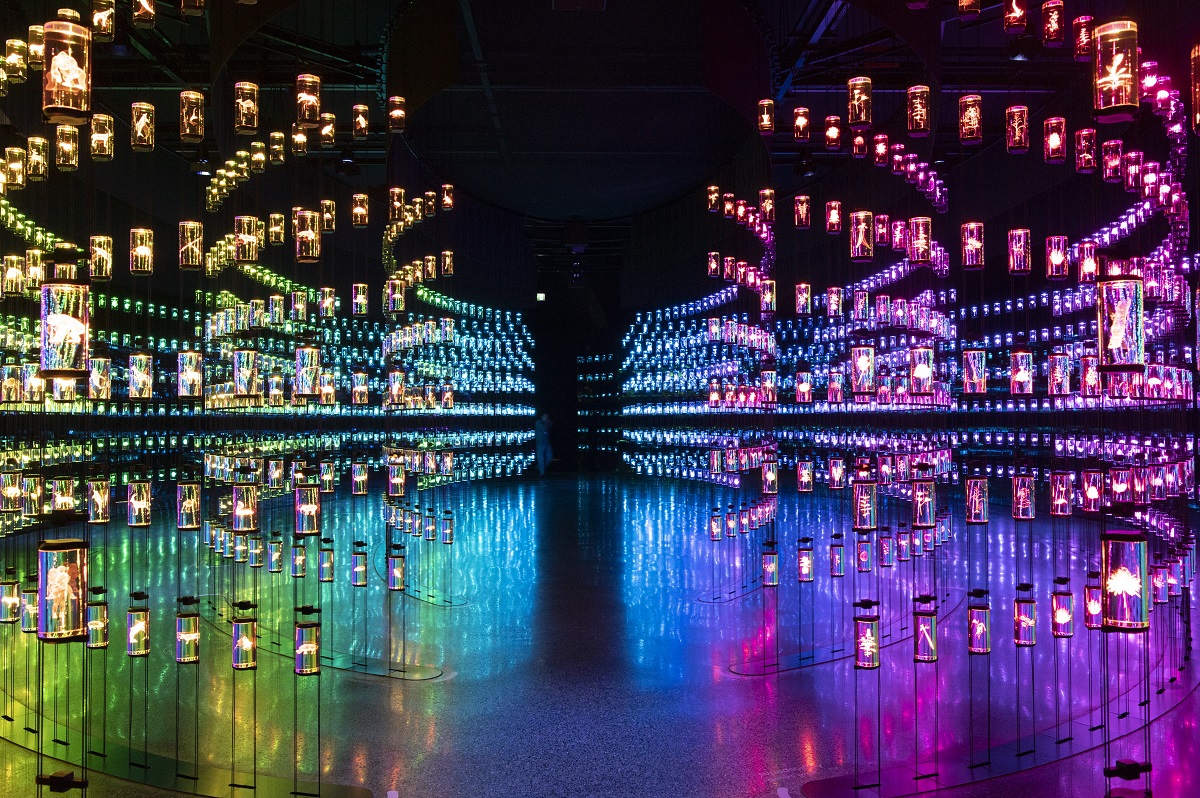 未来博物館のハイライトのひとつ「ライブラリー」