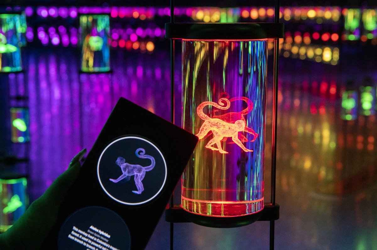 2071年までに絶滅するであろう動植物は赤く光ります