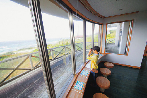 つのしま自然観