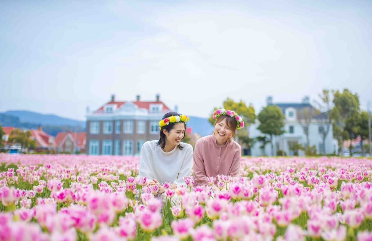 バスチオン 開花時期：3月中旬～4月上旬（予定）　