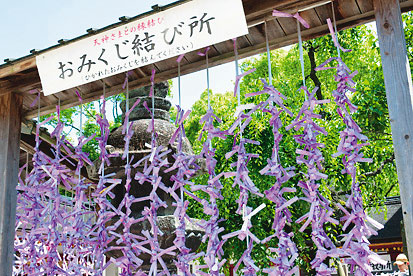 太宰府天満宮 おみくじ結び所