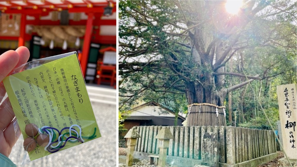 熊野速玉大社のお守りとご神木