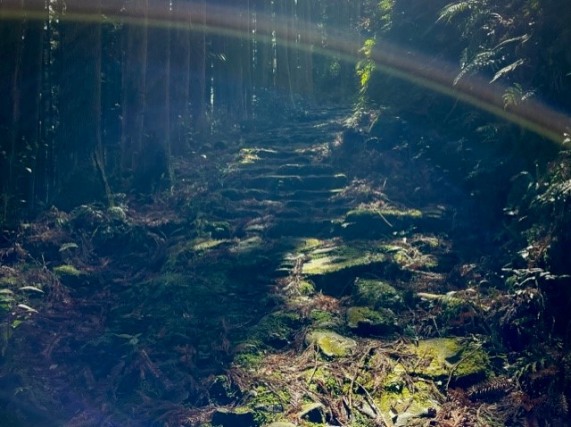 熊野古道　大雲取越