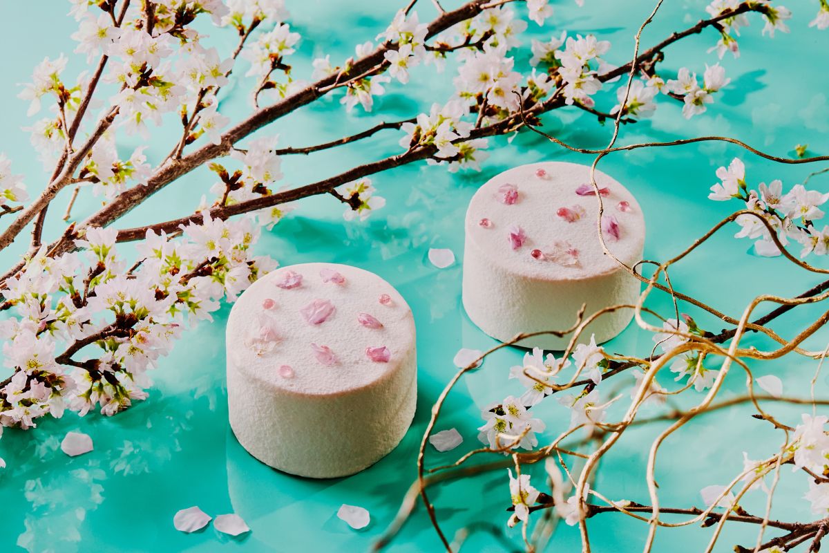 桜シフォンケーキ600円