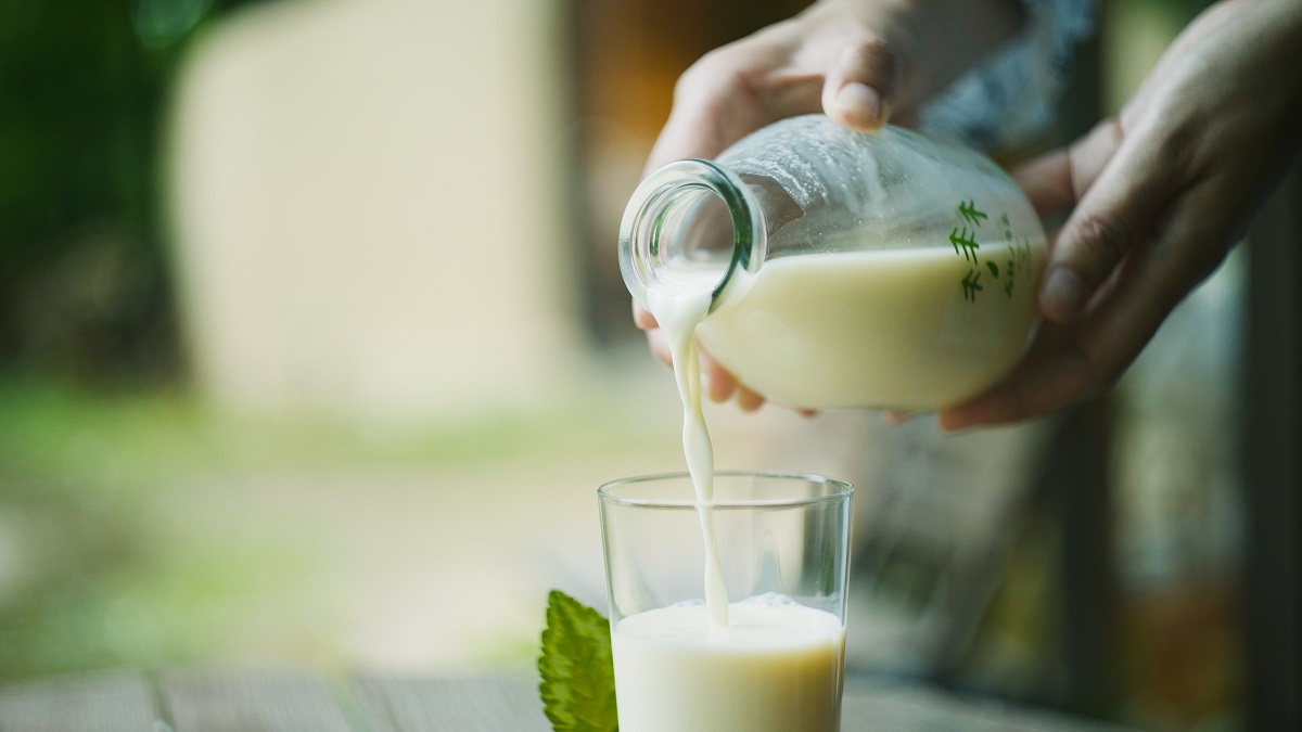 ストレスを感じない牛たちから生まれるおいしいミルク