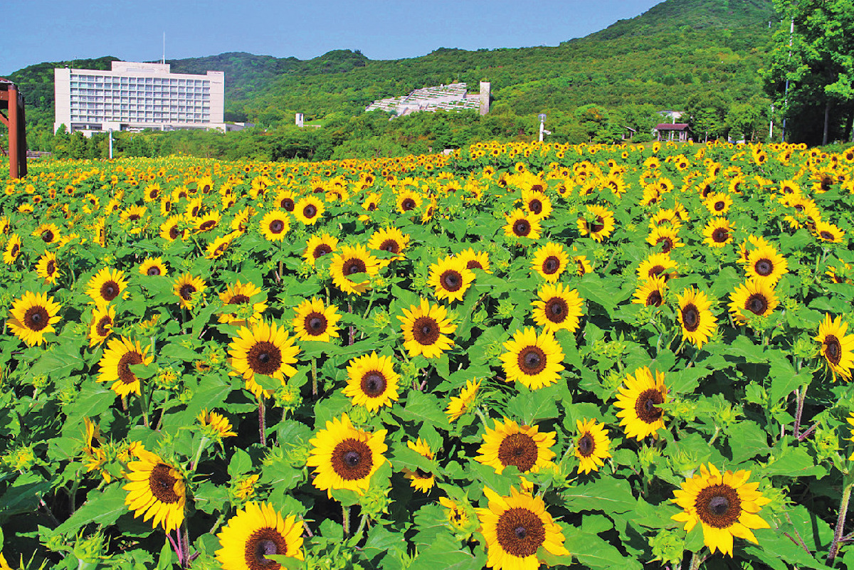淡路国営明石海峡公園