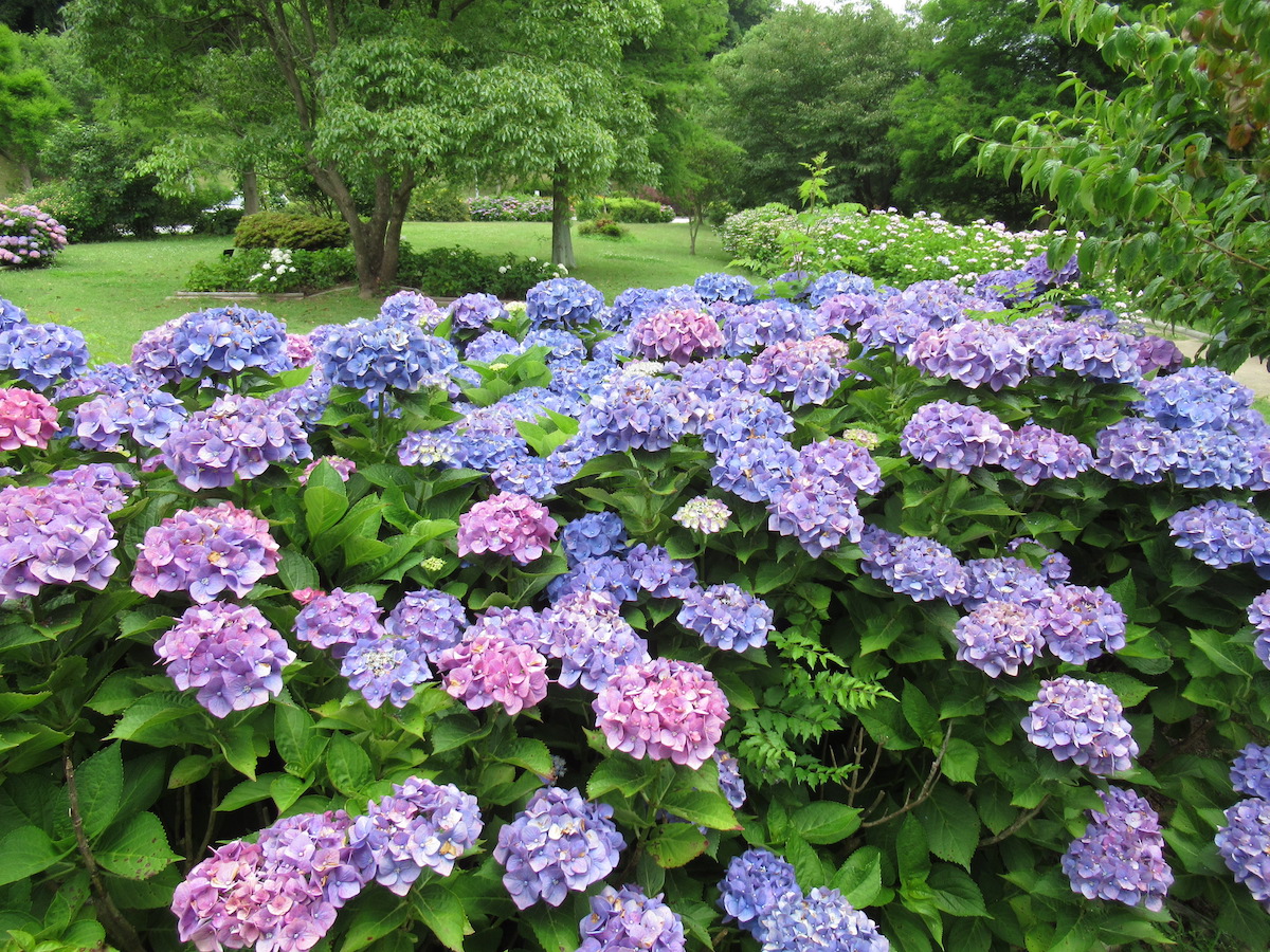 兵庫県立淡路島公園
