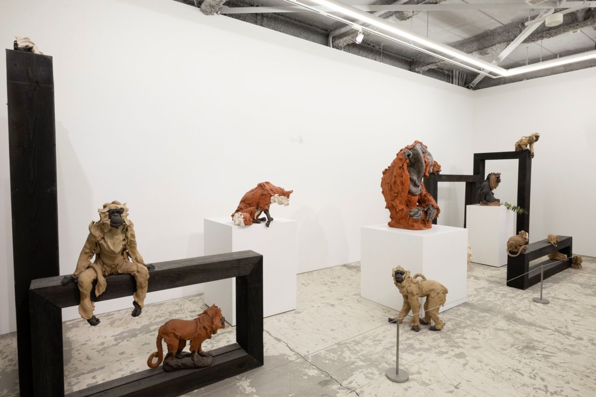  © Stephanie Quayle Courtesy of KAMU kanazawa