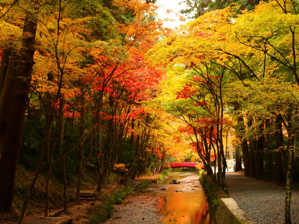 画像提供：小國神社