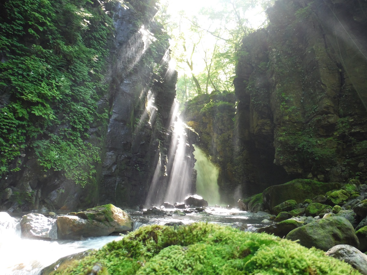 ほの暗い樹林の中に一筋に落ちる雄飛(ゆうひ)の滝