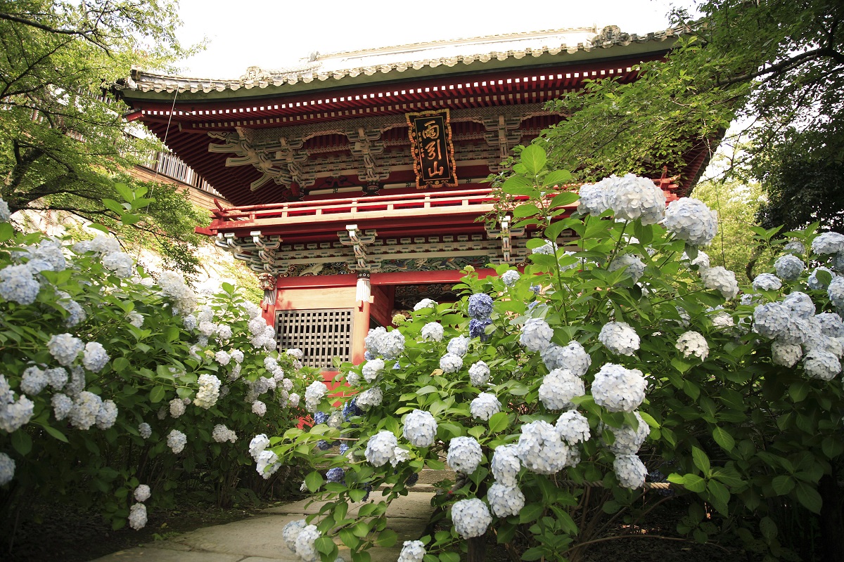 鎌倉時代の仏師康慶の彫刻した仁王尊を祀る仁王門。彫刻も見事