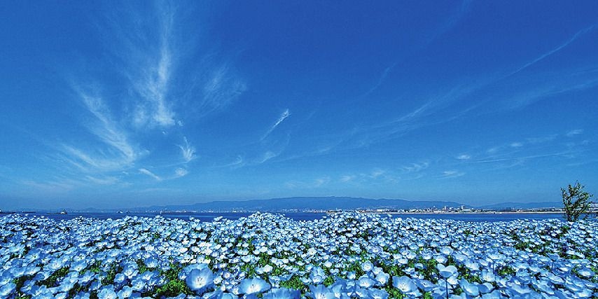 大阪まいしまシーサイドパーク