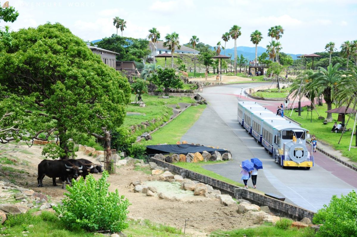 アドベンチャーワールド