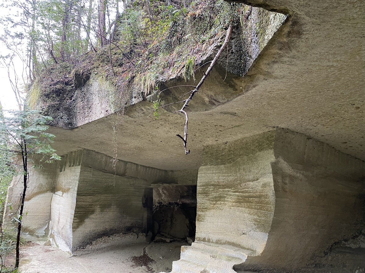 つるはしと手だけでここを掘ったヒトもすごいけど、薄い土壌に根を下ろした木もすごい